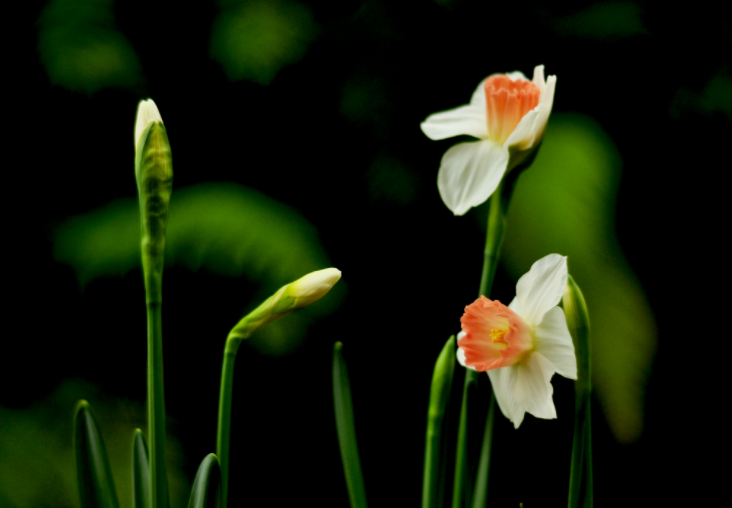 各人都做生态文明建设的实践者、、推动者（生态论苑）