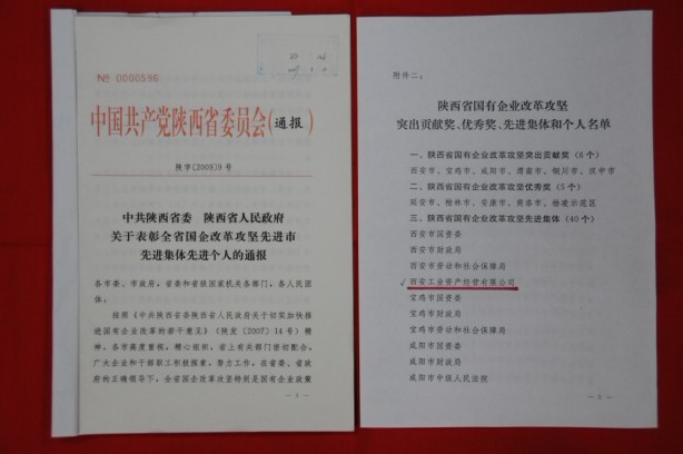 2009年2月，，被陕西省委、、省政府授予陕西省国有企业刷新攻坚先进整体
